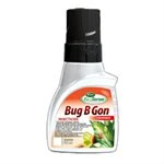 Bug B Gon