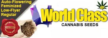 World Class Cannabis Seeds