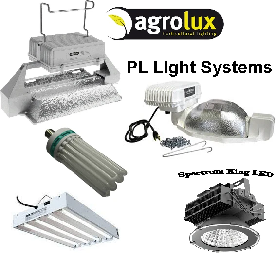 LED Lighting