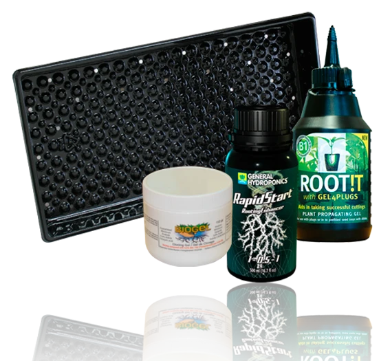 Rooting & propogation